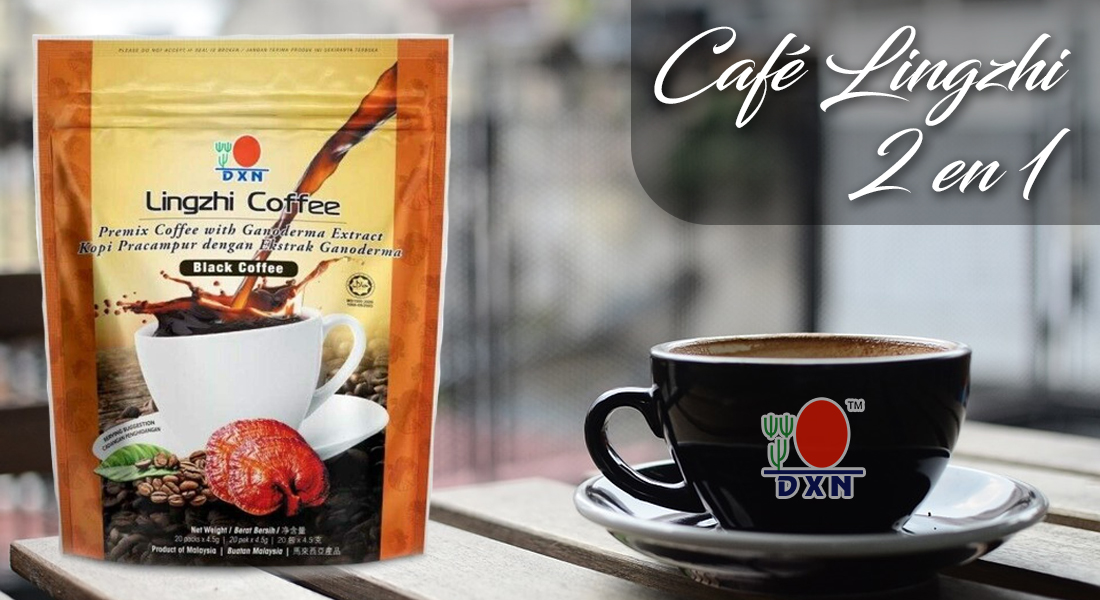 Cafe organico DXN Lingzhi en Puebla