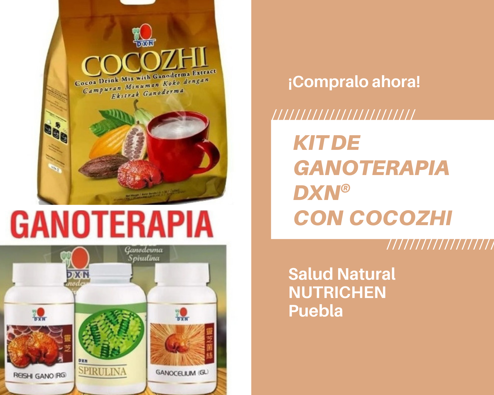 Venta de chocolate con ganoderma Cocozhi DXN en Puebla Nutrichen